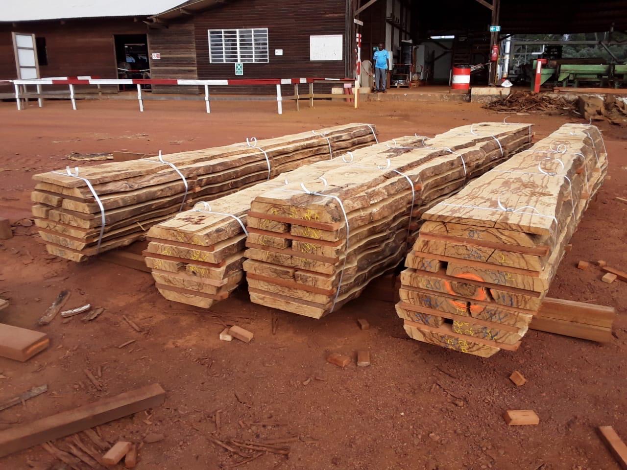 Plots et équarris 1