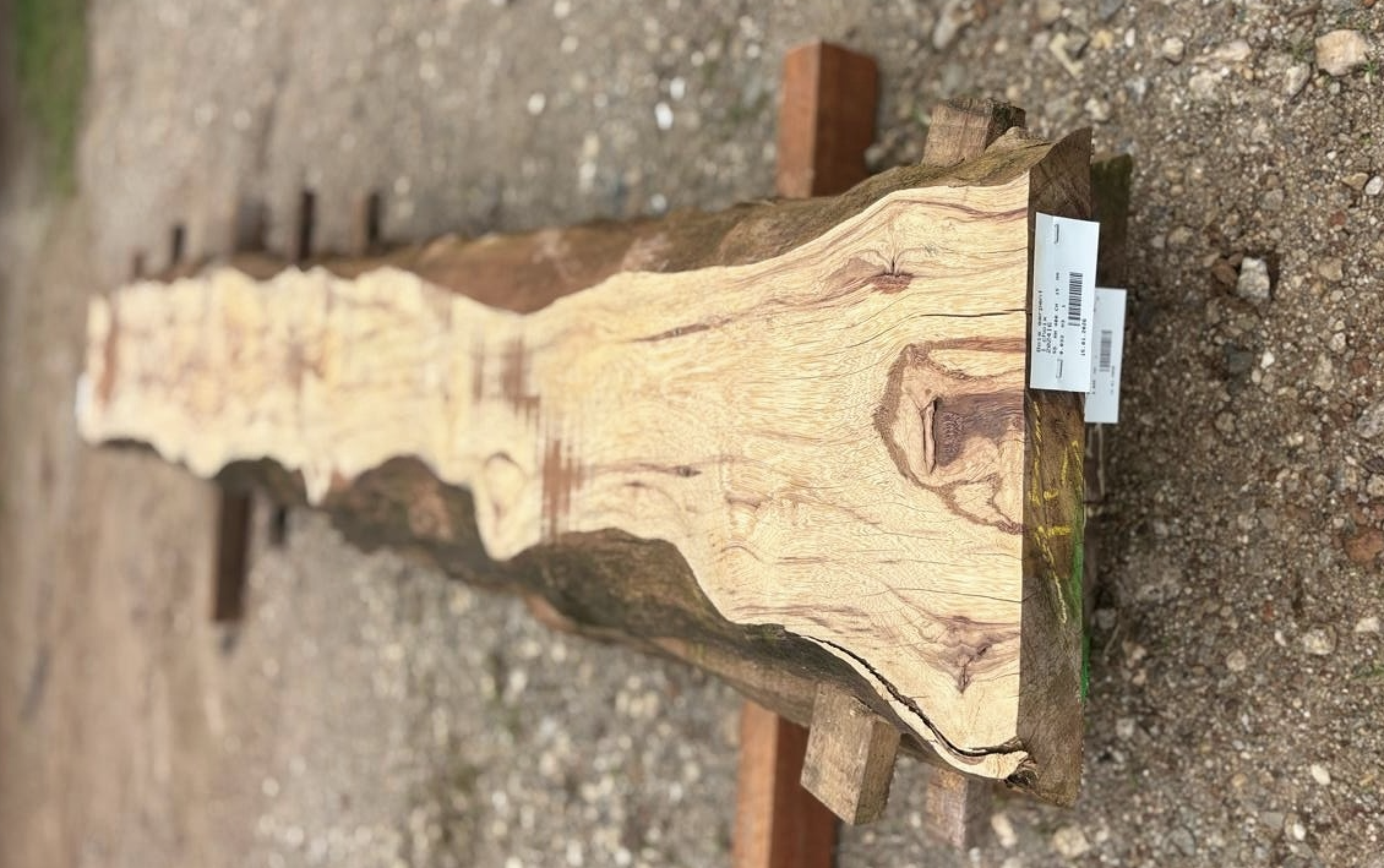 Bois précieux